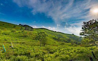 長野県の草原の画像