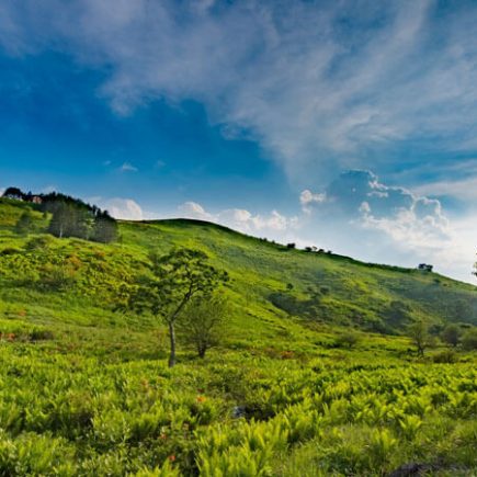 長野県の草原の画像