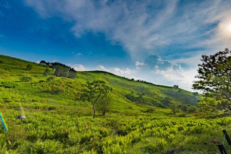 長野県の草原の画像